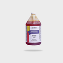 PROLINE DURA STAIN / 1 Gal